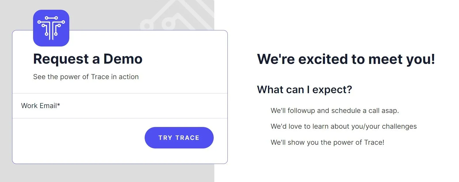 Trace SEM landing page example