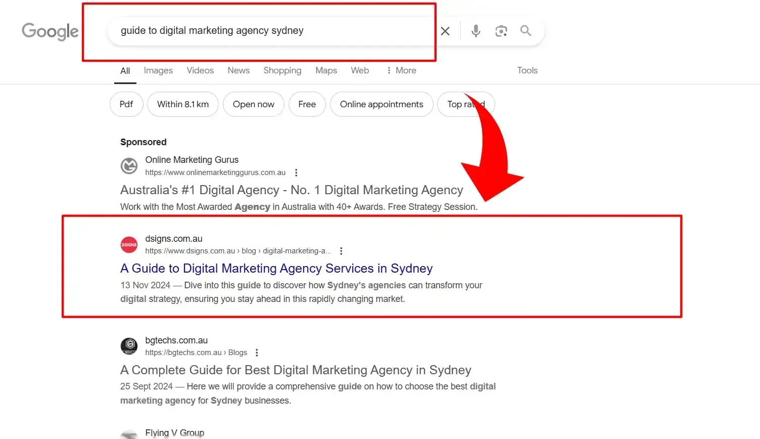 Google ranking screenshot example